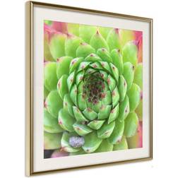 Arkiio Affisch Succulent (Square) [Poster] 30x30 Poster